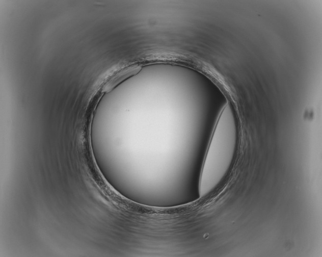X0000089720203200706210901