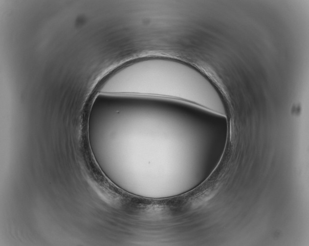 X0000089720204200706210901