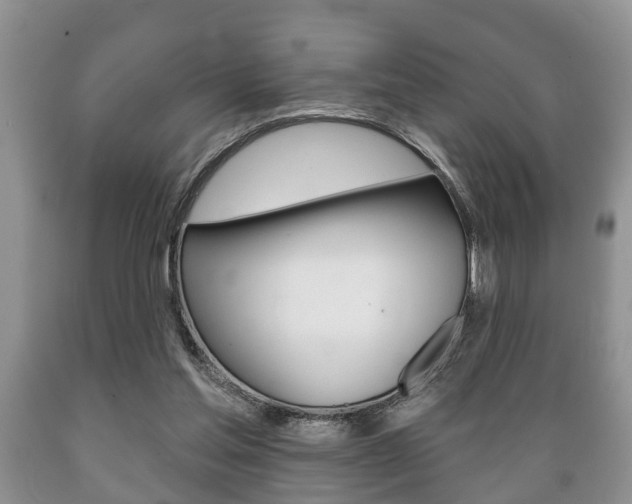 X0000089720205200706210901