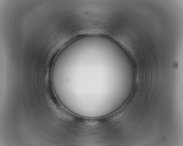 X0000089720206200706210901