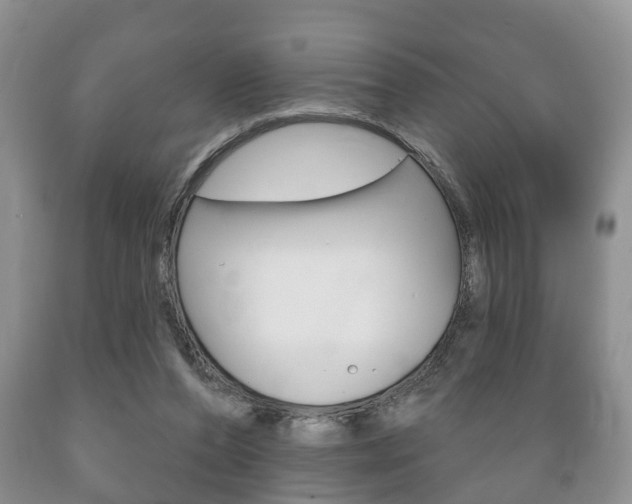 X0000089720208200706210901