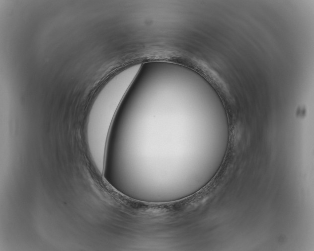 X0000089720209200706210901