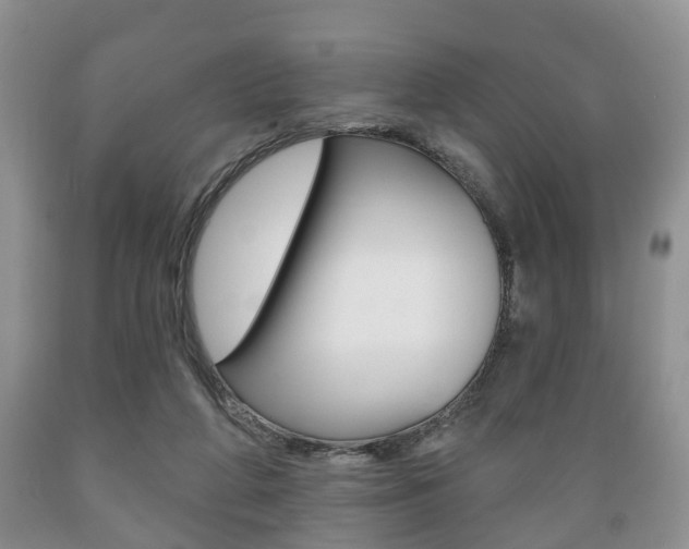 X0000089720210200706210901
