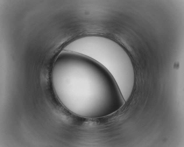X0000089720211200706210901