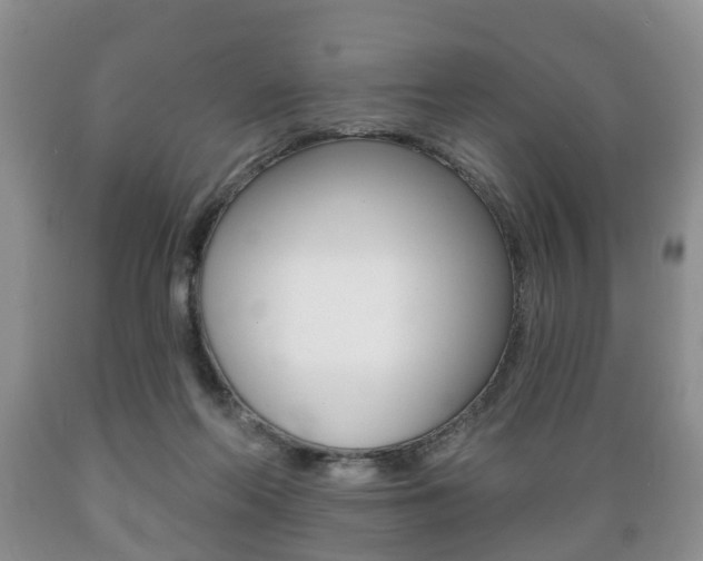 X0000089720214200706210901