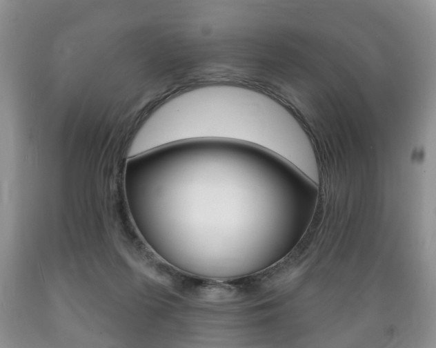 X0000089720215200706210901