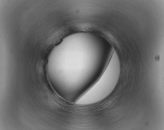 X0000089720217200706210901