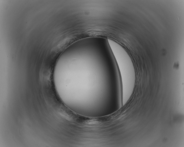 X0000089720219200706210901
