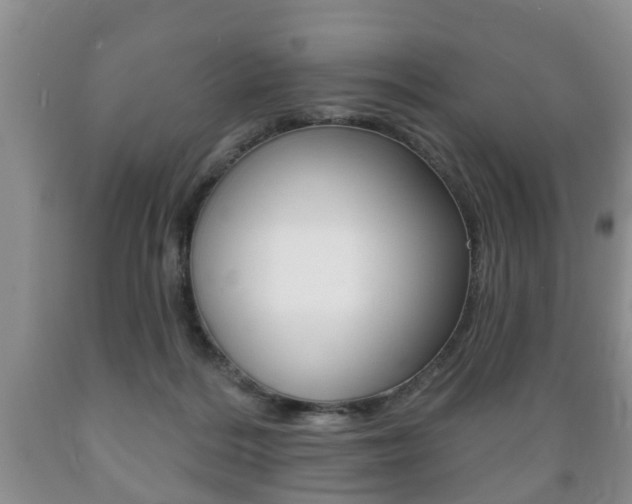X0000089720220200706210901