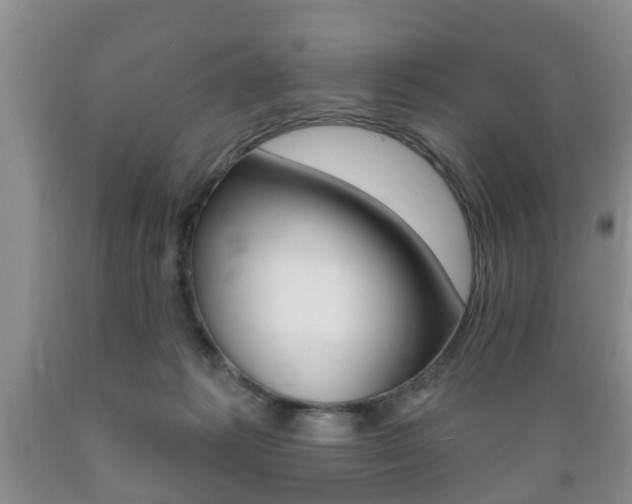 X0000089720221200706210901