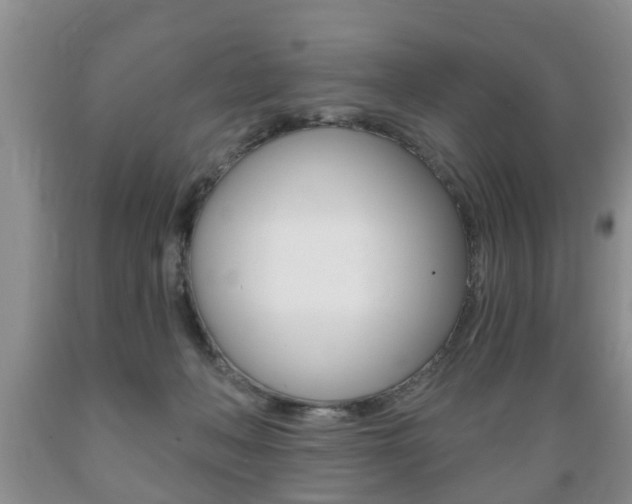 X0000089720222200706210901