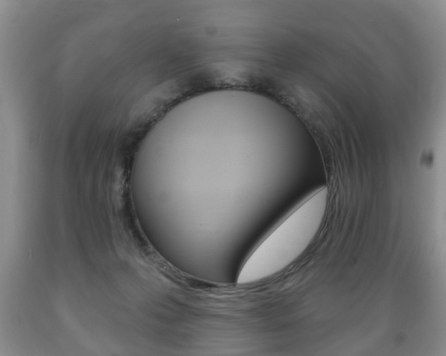 X0000089720223200706210901