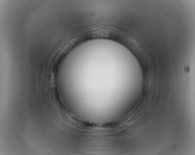 X0000089720224200706210901