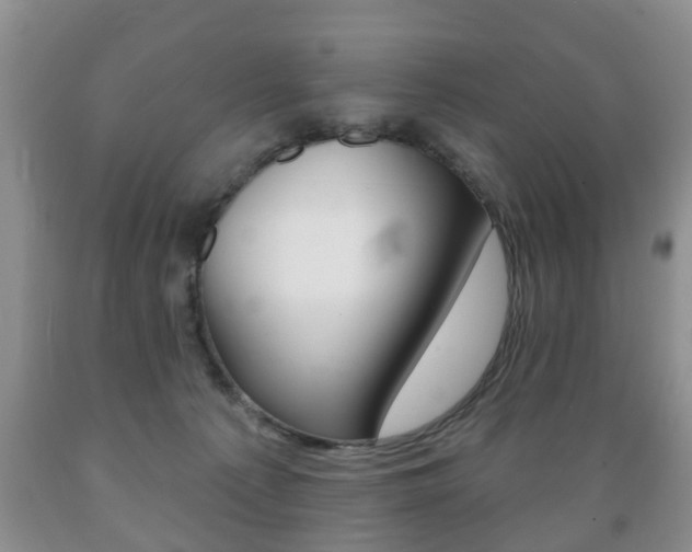 X0000089720225200706210901