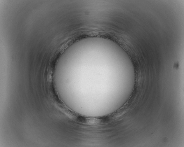 X0000089720226200706210901