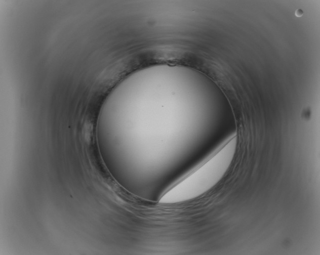 X0000089720227200706210901