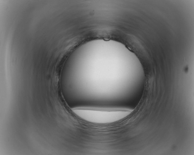 X0000089720228200706210901