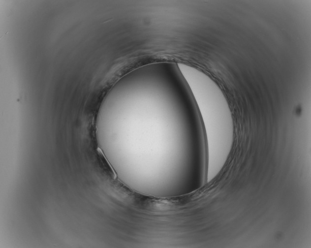 X0000089720229200706210901