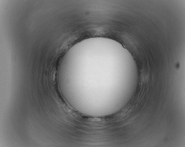 X0000089720230200706210901