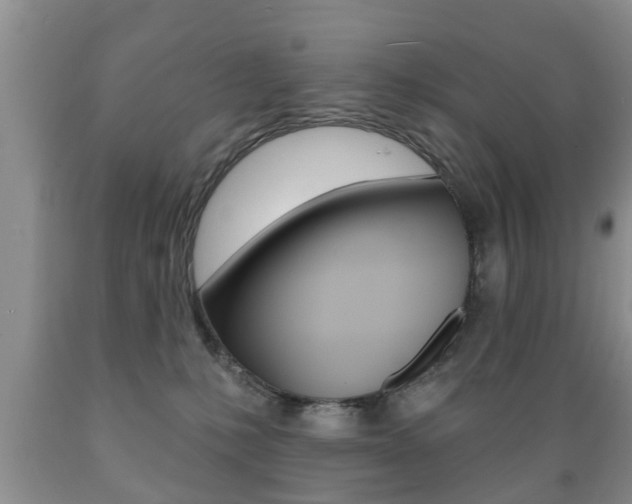 X0000089720231200706210901
