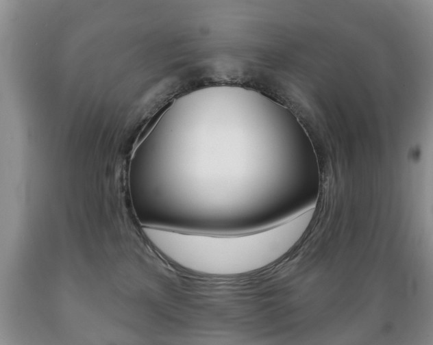 X0000089720233200706210901