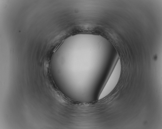 X0000089720235200706210901