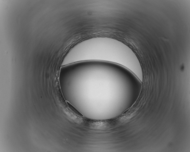 X0000089720237200706210901