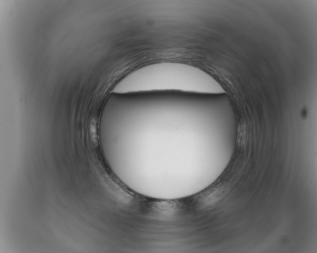 X0000089720238200706210901
