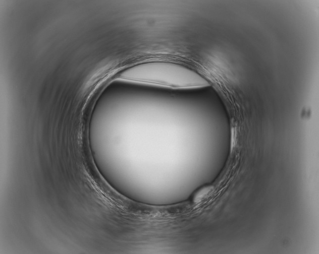 X0000089720243200706210900