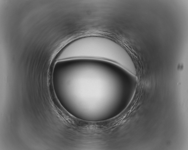 X0000089720244200706210900