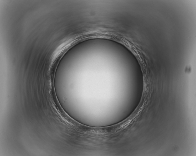 X0000089720245200706210900
