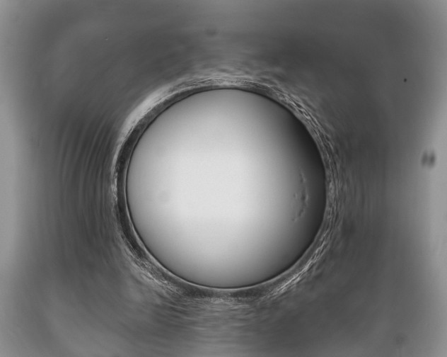 X0000089720246200706210900