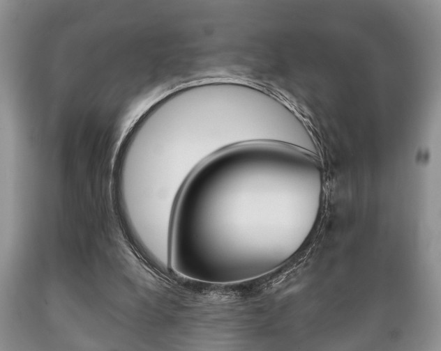 X0000089720248200706210900