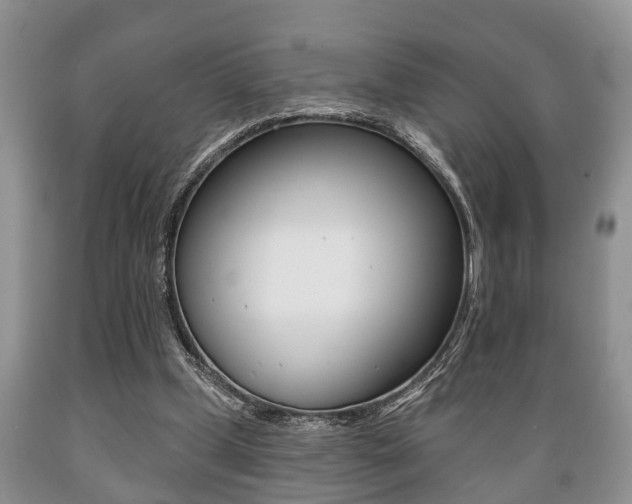 X0000089720249200706210900