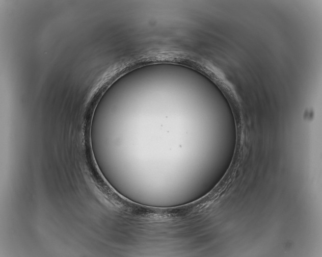 X0000089720250200706210900