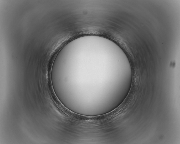 X0000089720251200706210900