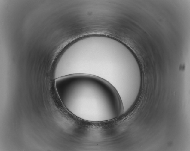 X0000089720252200706210900