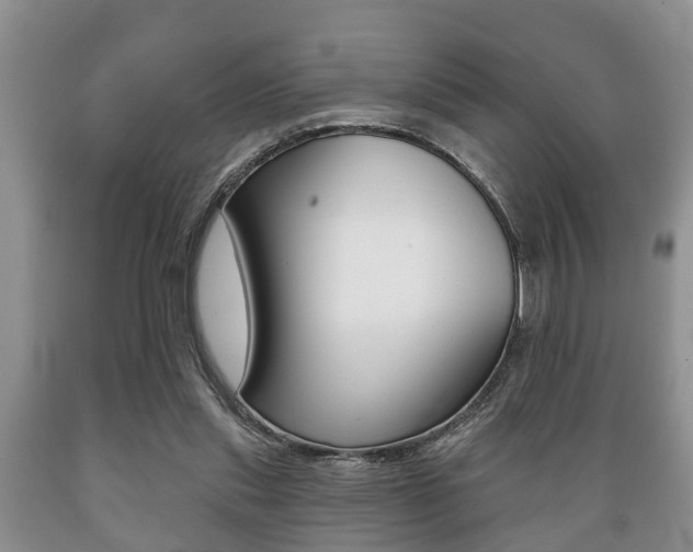 X0000089720253200706210900