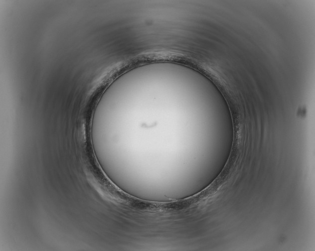 X0000089720254200706210900