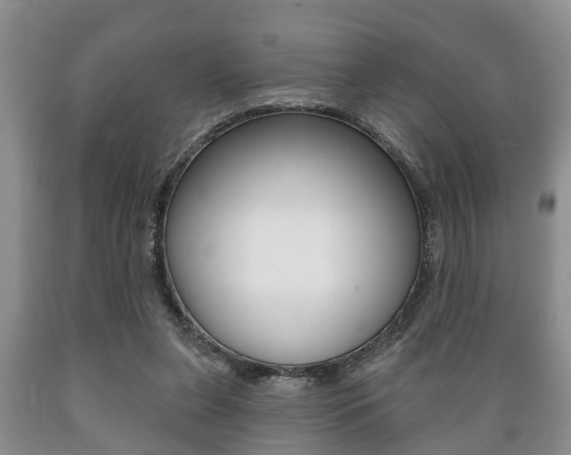 X0000089720255200706210900