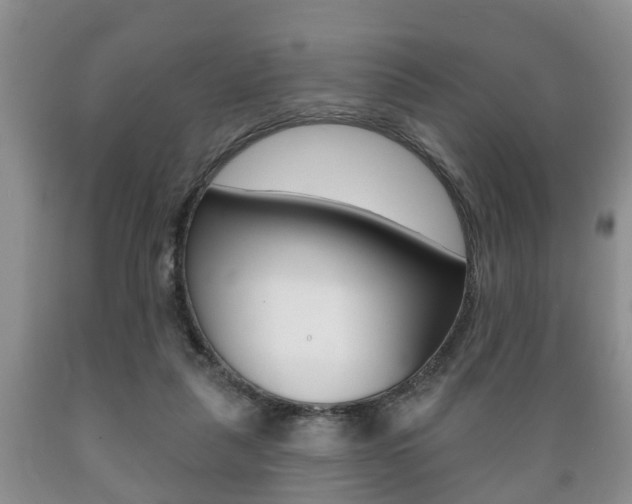X0000089720259200706210900