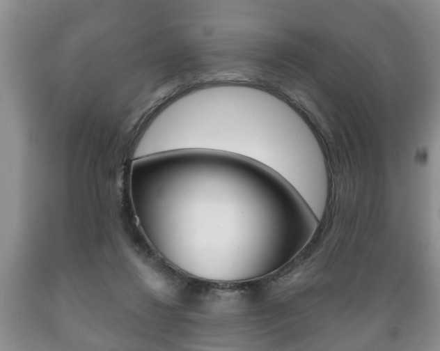 X0000089720260200706210900