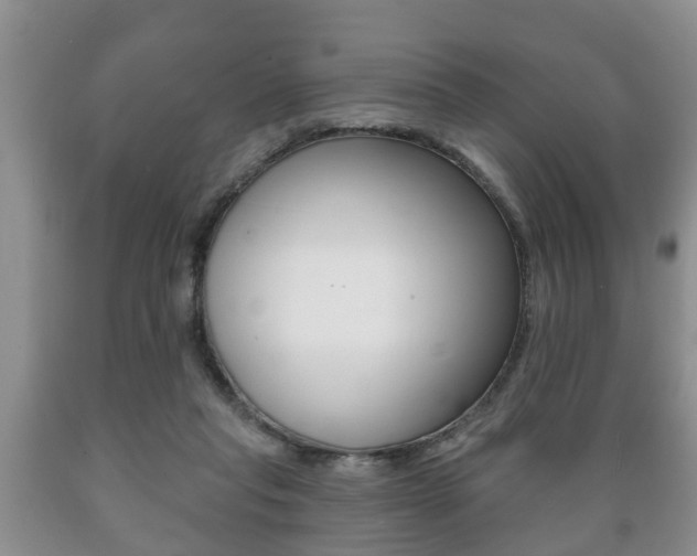 X0000089720261200706210900