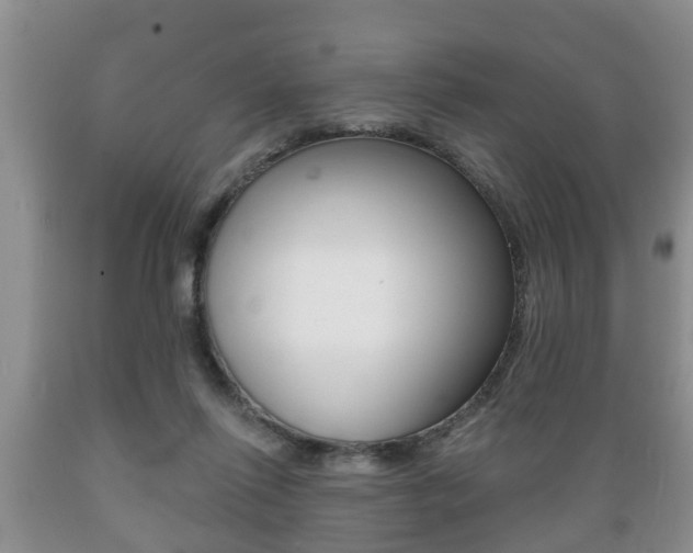 X0000089720262200706210900