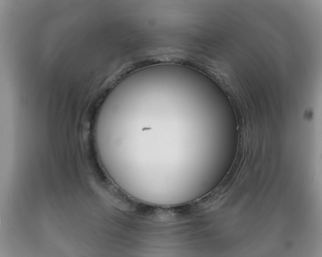 X0000089720263200706210900