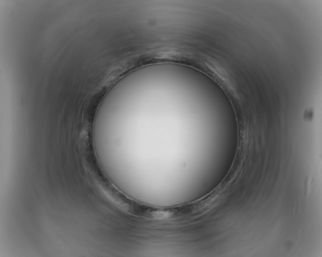 X0000089720265200706210900