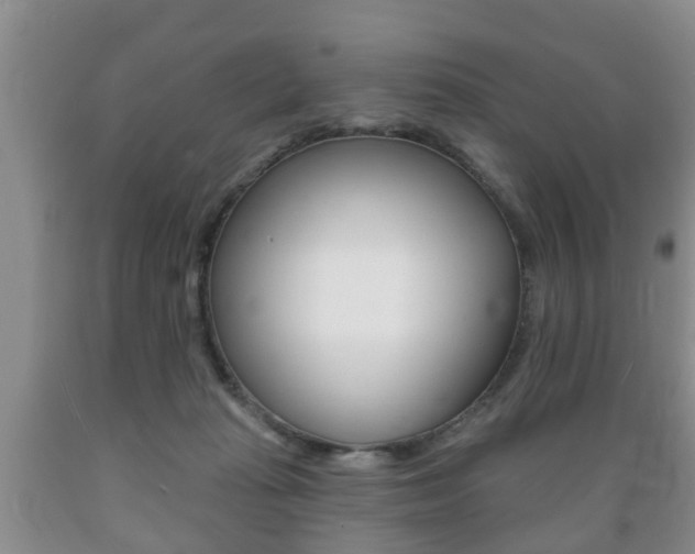 X0000089720269200706210900