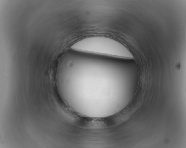 X0000089720270200706210900