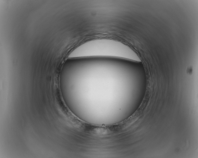 X0000089720272200706210900