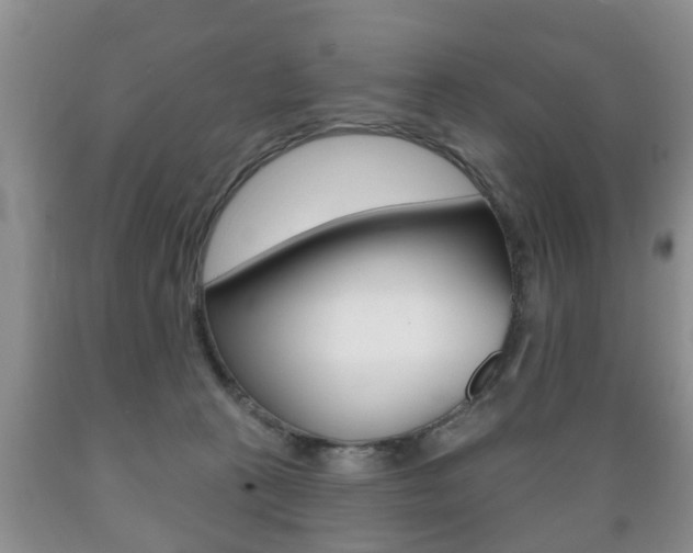 X0000089720273200706210900